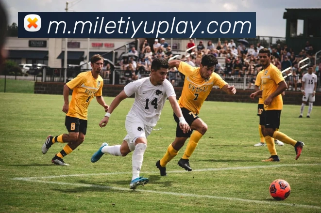 米乐体育APP 体育赛事宣传图